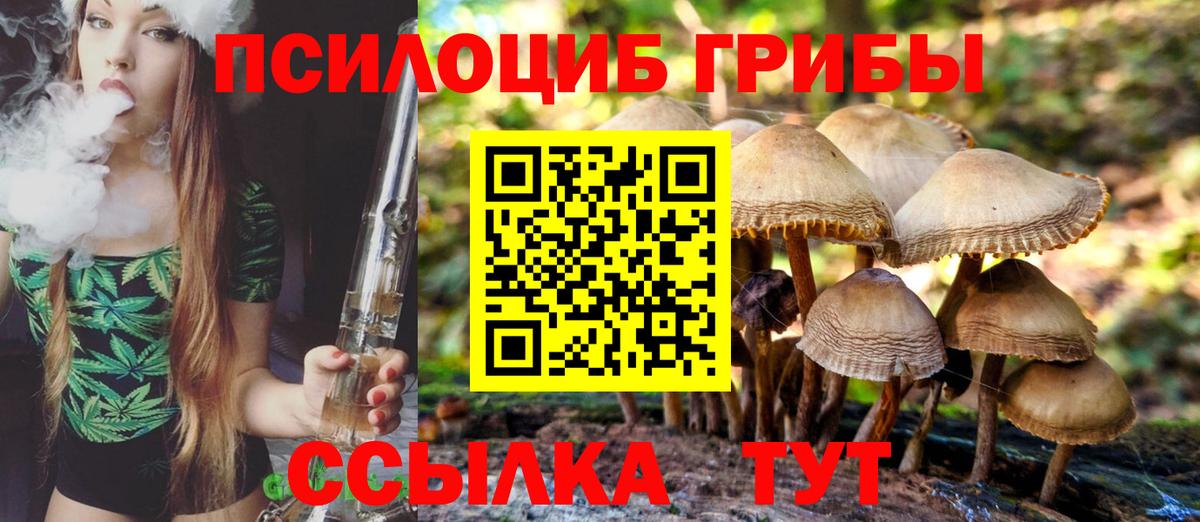 Галлюциногенные грибы Cubensis Волжск